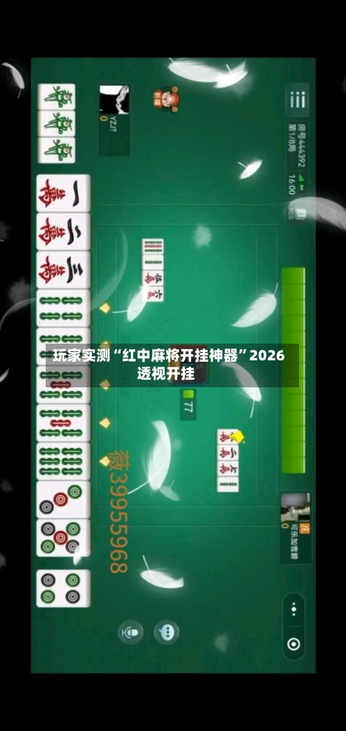 玩家实测“红中麻将开挂神器	”2026透视开挂-第3张图片