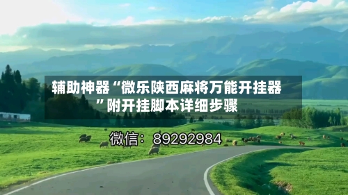 辅助神器“微乐陕西麻将万能开挂器	”附开挂脚本详细步骤-第2张图片