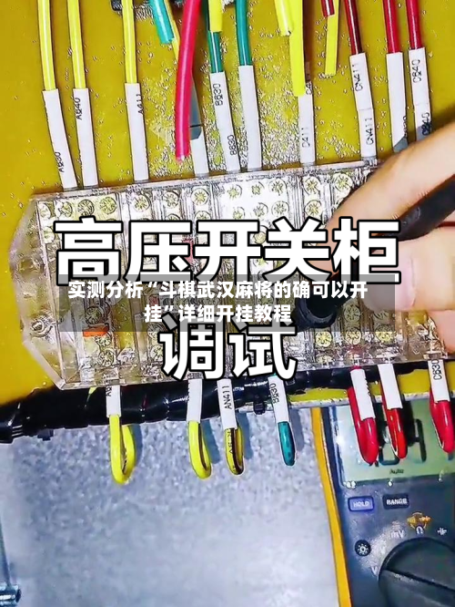 实测分析“斗棋武汉麻将的确可以开挂”详细开挂教程-第2张图片