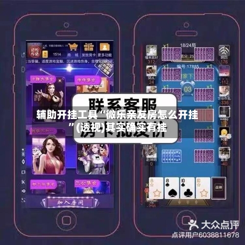 辅助开挂工具“微乐亲友房怎么开挂”(透视)其实确实有挂-第2张图片