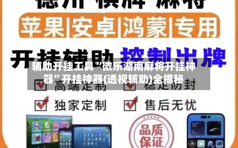 辅助开挂工具“微乐湖南麻将开挂神器	”开挂神器{透视辅助}全揭秘-第3张图片