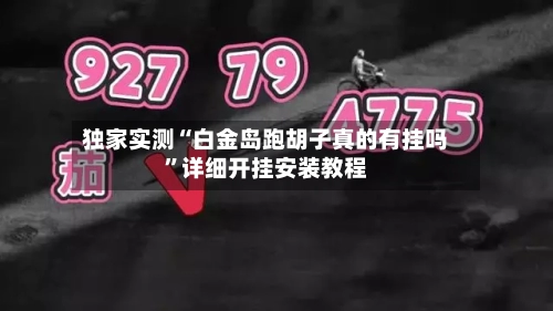 独家实测“白金岛跑胡子真的有挂吗”详细开挂安装教程-第3张图片