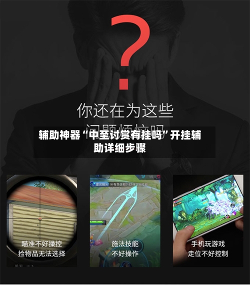 辅助神器“中至讨赏有挂吗	”开挂辅助详细步骤-第3张图片
