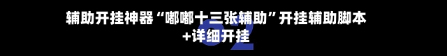 辅助开挂神器“嘟嘟十三张辅助	”开挂辅助脚本+详细开挂-第2张图片