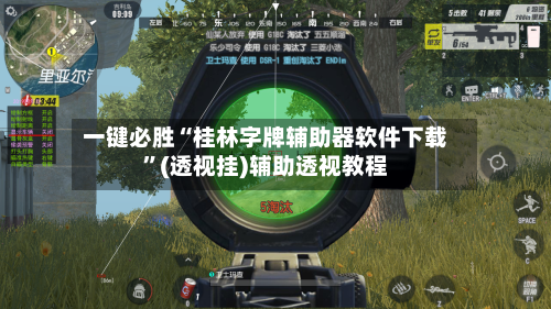 一键必胜“桂林字牌辅助器软件下载”(透视挂)辅助透视教程-第2张图片