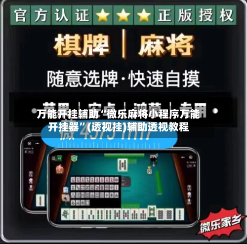 万能开挂辅助“微乐麻将小程序万能开挂器”(透视挂)辅助透视教程-第2张图片