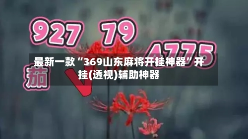 最新一款“369山东麻将开挂神器	”开挂(透视)辅助神器-第3张图片