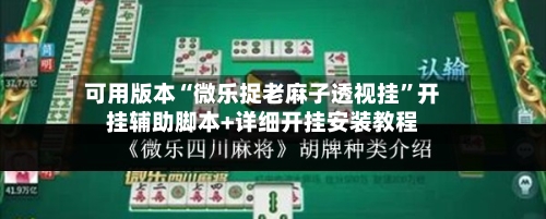 可用版本“微乐捉老麻子透视挂	”开挂辅助脚本+详细开挂安装教程-第2张图片