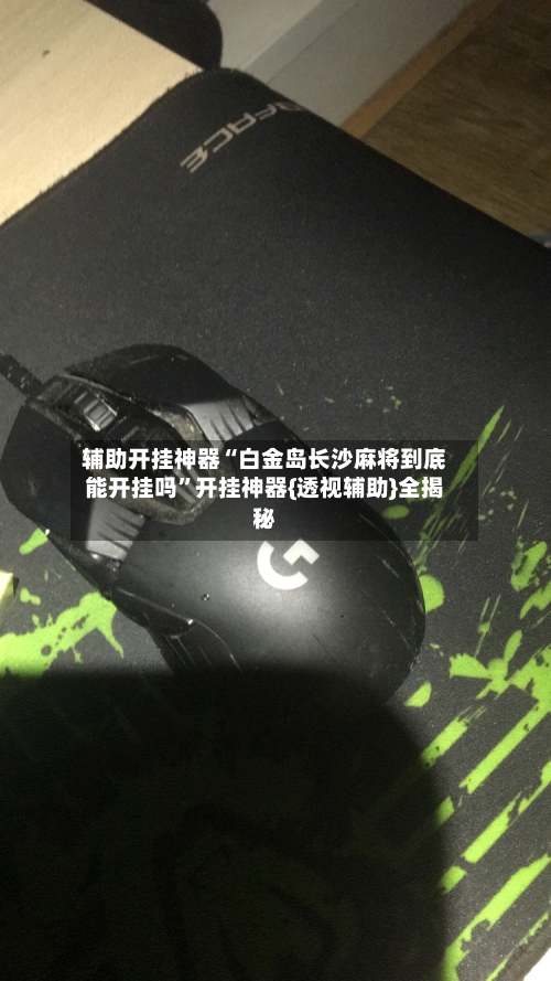 辅助开挂神器“白金岛长沙麻将到底能开挂吗	”开挂神器{透视辅助}全揭秘-第2张图片