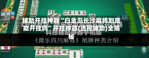 辅助开挂神器“白金岛长沙麻将到底能开挂吗”开挂神器{透视辅助}全揭秘-第3张图片