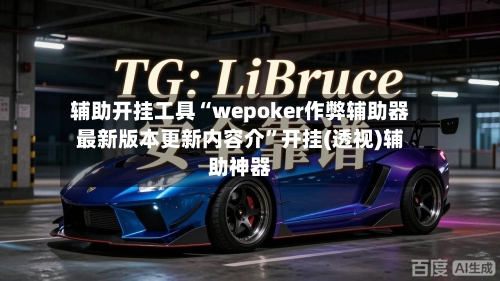 辅助开挂工具“wepoker作弊辅助器最新版本更新内容介”开挂(透视)辅助神器-第3张图片