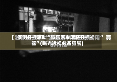 实测开挂辅助“微乐家乡麻将开挂神器	”(曝光透视必备猫腻)-第3张图片