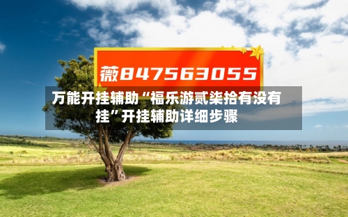万能开挂辅助“福乐游贰柒拾有没有挂”开挂辅助详细步骤-第3张图片