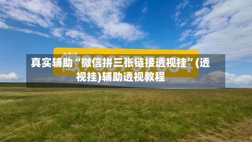 真实辅助“微信拼三张链接透视挂”(透视挂)辅助透视教程-第2张图片