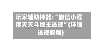 玩家辅助神器:“微信小程序天天斗地主透视”(详细透视教程)-第3张图片