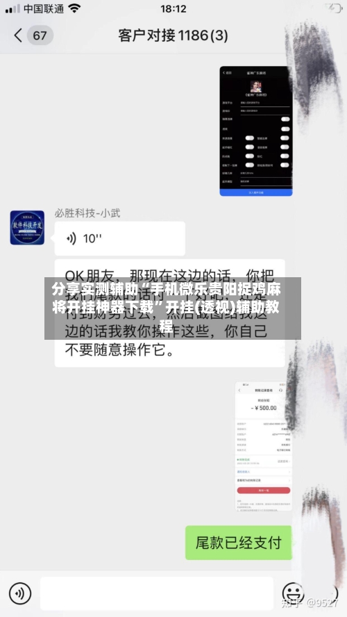 分享实测辅助“手机微乐贵阳捉鸡麻将开挂神器下载”开挂(透视)辅助教程-第2张图片