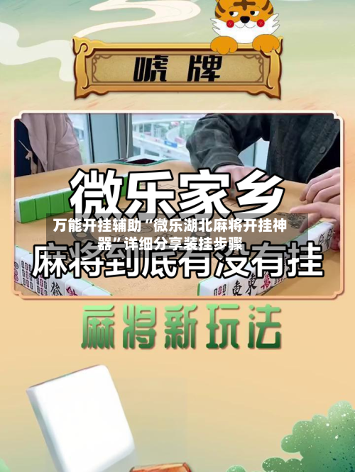 万能开挂辅助“微乐湖北麻将开挂神器”详细分享装挂步骤-第3张图片