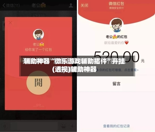 辅助神器“微乐游戏辅助插件”开挂(透视)辅助神器-第2张图片