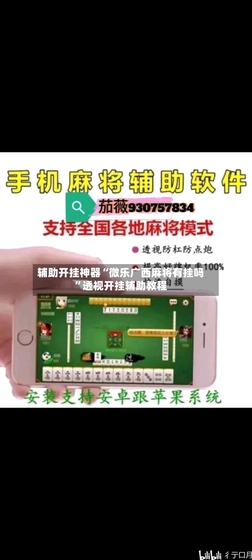 辅助开挂神器“微乐广西麻将有挂吗	”透视开挂辅助教程-第2张图片