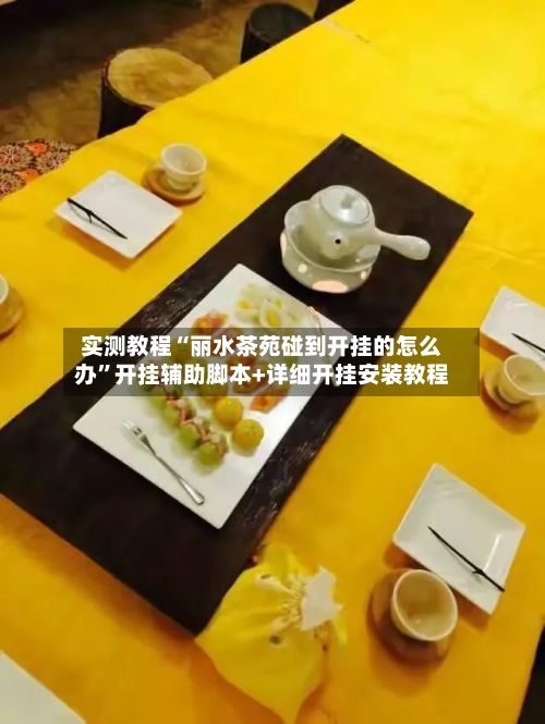 实测教程“丽水茶苑碰到开挂的怎么办”开挂辅助脚本+详细开挂安装教程-第3张图片