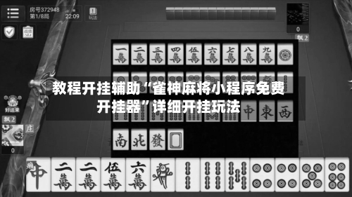 教程开挂辅助“雀神麻将小程序免费开挂器”详细开挂玩法-第2张图片
