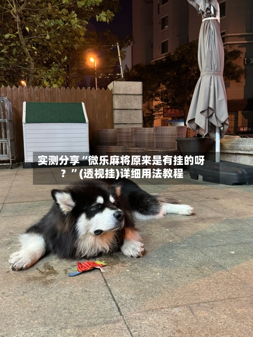 实测分享“微乐麻将原来是有挂的呀？”(透视挂)详细用法教程-第2张图片