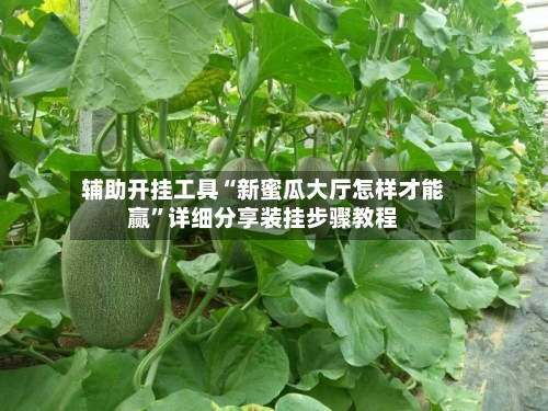 辅助开挂工具“新蜜瓜大厅怎样才能赢”详细分享装挂步骤教程-第2张图片