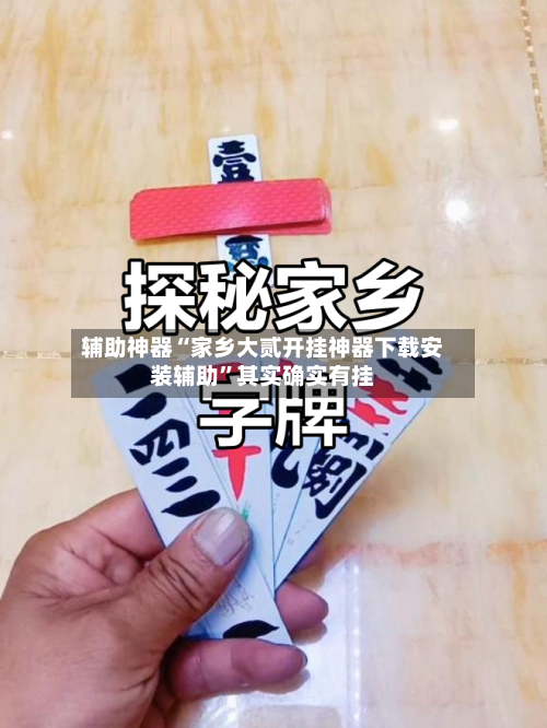 辅助神器“家乡大贰开挂神器下载安装辅助”其实确实有挂