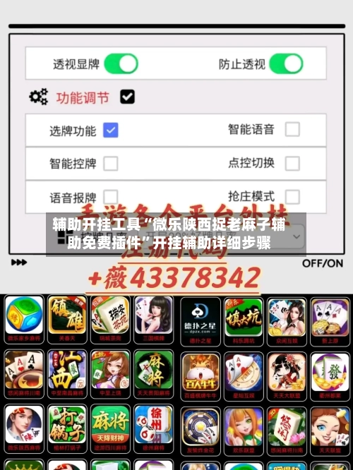 辅助开挂工具“微乐陕西捉老麻子辅助免费插件”开挂辅助详细步骤
