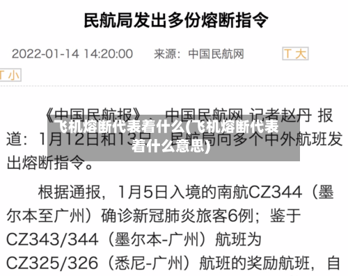 飞机熔断代表着什么(飞机熔断代表着什么意思)
