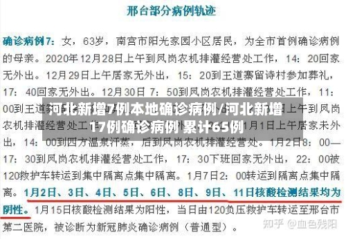 河北新增7例本地确诊病例/河北新增17例确诊病例 累计65例