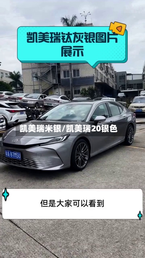凯美瑞米银/凯美瑞20银色