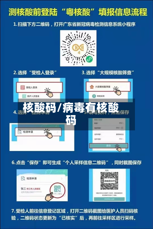 核酸码/病毒有核酸码