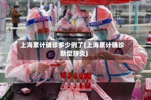 上海累计确诊多少例了(上海累计确诊新型肺炎)