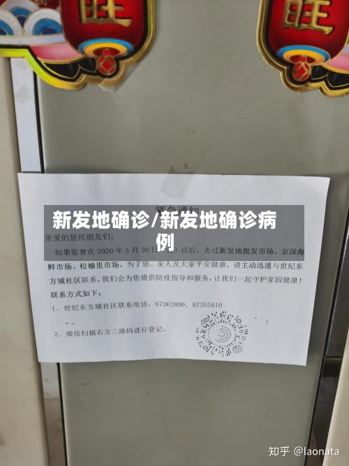 新发地确诊/新发地确诊病例