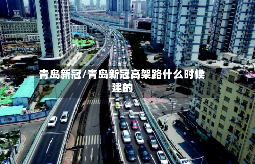 青岛新冠/青岛新冠高架路什么时候建的