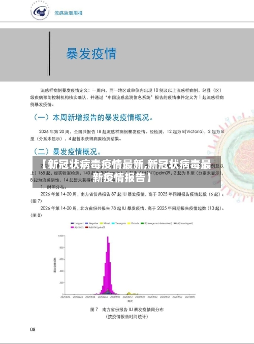 【新冠状病毒疫情最新,新冠状病毒最新疫情报告】