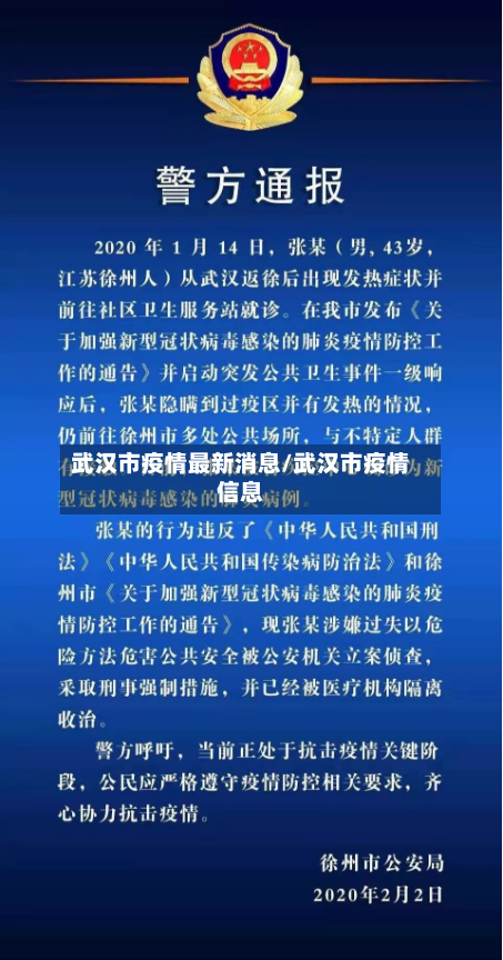 武汉市疫情最新消息/武汉市疫情信息