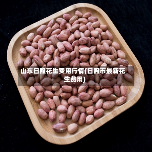 山东日照花生费用行情(日照市最新花生费用)