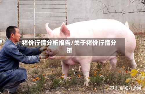 猪价行情分析报告/关于猪价行情分析