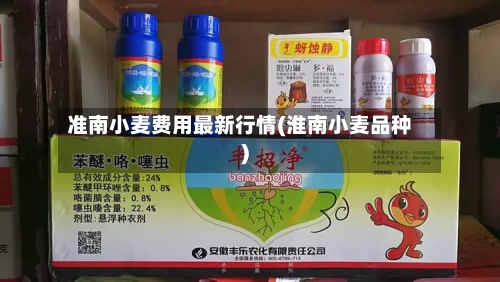 准南小麦费用最新行情(淮南小麦品种)