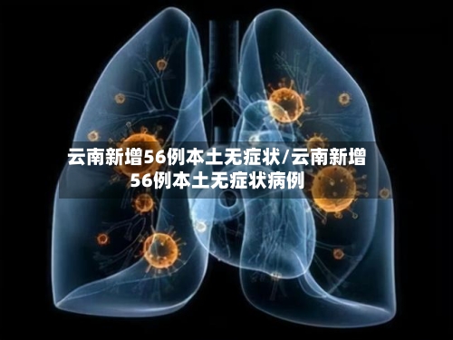 云南新增56例本土无症状/云南新增56例本土无症状病例
