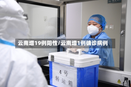 云南增19例阳性/云南增1例确诊病例