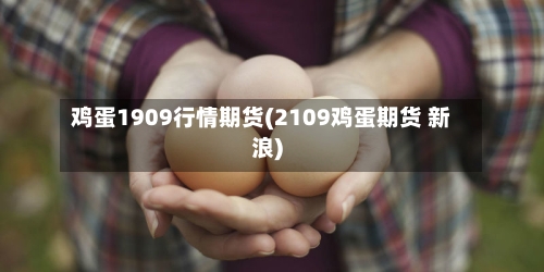 鸡蛋1909行情期货(2109鸡蛋期货 新浪)