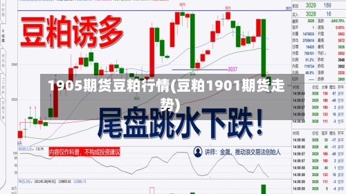 1905期货豆粕行情(豆粕1901期货走势)