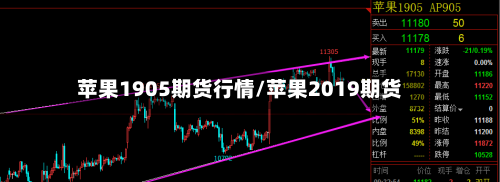 苹果1905期货行情/苹果2019期货