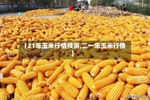 【21年玉米行情预测,二一年玉米行情】