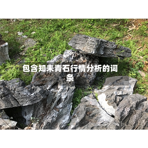 包含知未青石行情分析的词条