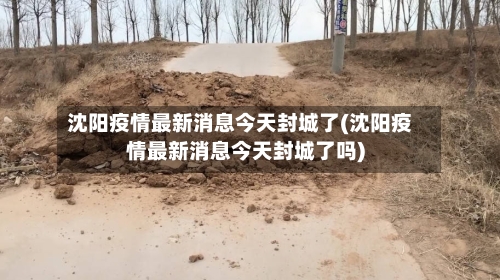 沈阳疫情最新消息今天封城了(沈阳疫情最新消息今天封城了吗)