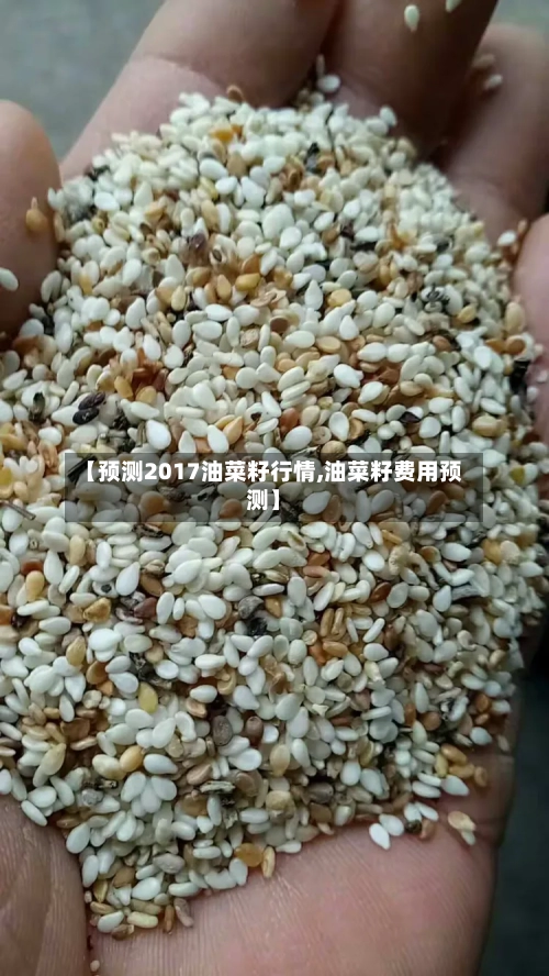 【预测2017油菜籽行情,油菜籽费用预测】